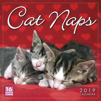 Calendar 2019 Cat Naps 16-Month Wall Calendar: By Sellers Publishing Book