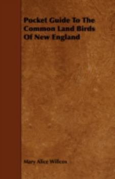 Pocket Guide to the Common Land Birds of New England