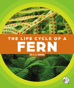 Library Binding The Life Cycle of a Fern Book