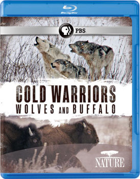 Blu-ray Nature: Cold Warriors Wolves & Buffalo Book