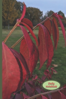 Daily Notebook: A Lined Notebook To Write In For Notes / Lists / Important Dates / Thoughts / 6" x 9" 120 Pages / Burning Bush On The Front And Back Cover In Fremont Ohio