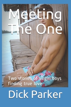 Paperback Meeting The One: Two stories of virgin boys finding true love Book