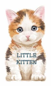 Board book Little Kitten Book