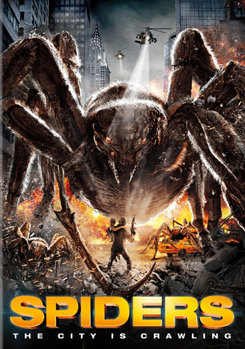Spiders