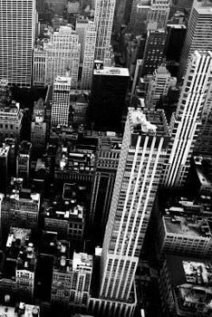 Paperback New York Notebook Book