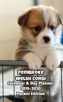 Paperback Pembroke Welsh Corgi Calendar & Day Planner 2019-2020 Pocket Edition Book