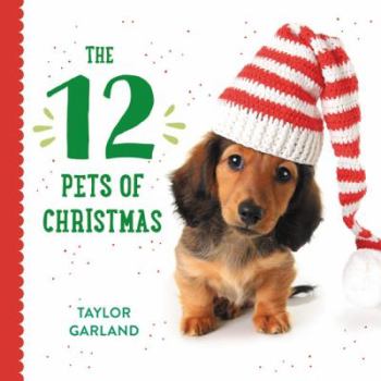 Board book The 12 Pets of Christmas Book