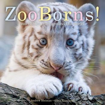 Hardcover Zooborns!: Zoo Babies from Around the World Book