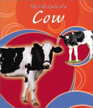 Library Binding The Life Cycle of a Cow Book