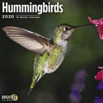Calendar Hummingbirds Wall Calendar 2020 Book