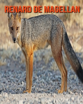 Renard de Magellan: Recueil pour Enfants de Belles Images & d'Informations Int?ressantes Concernant les Renard de Magellan