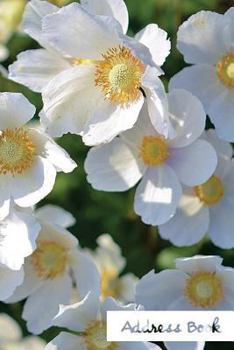 Address Book.: (Flower Edition Vol. 77) Glossy And Soft Cover, Large Print, Font, 6" x 9" For Contacts, Addresses, Phone Numbers, Ema