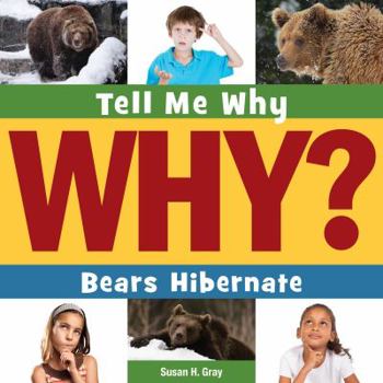 Paperback Bears Hibernate Book