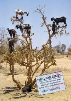 Paperback Goat Trees: Tales from the Other Side of the World Book