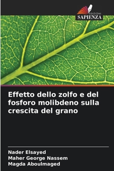 Paperback Effetto dello zolfo e del fosforo molibdeno sulla crescita del grano [Italian] Book