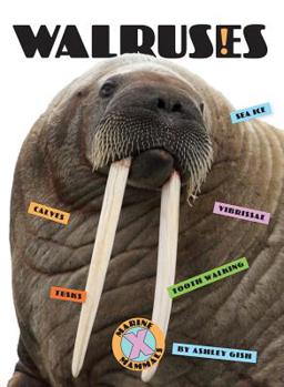 Walruses - Book  of the X-Books: Marine Mammals