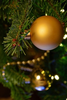 Paperback Christmas tree notebook - achieve your goals, perfect 120 lined pages #6 Book