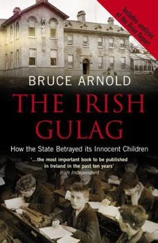 Paperback The Irish Gulag Book