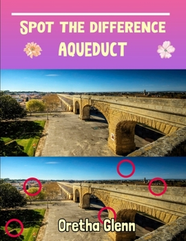 Spot the difference Aqueduct: Picture puzzles for adults Can You Really Find All the Differences?
