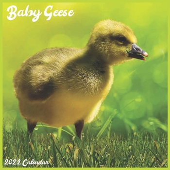 Baby Geese 2022 Calendar: Official Baby Goose 2022 Calendar, 16 Month