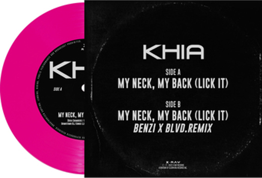 Vinyl My Neck  My Back Book