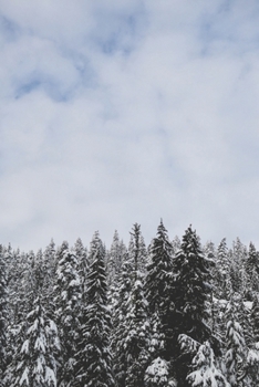 Journal: 150 Lined & Dated Pages, 6x9 Inches, Snowy Trees, Diary & Notebook for Writing, Brainstorming, Note Taking for Work, Travel, Studying & More