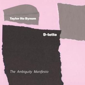 Vinyl Ambiguity Manifesto Book