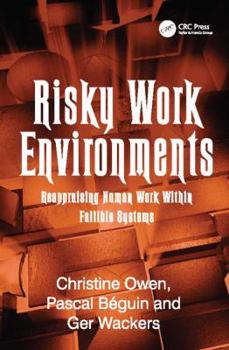 Paperback Risky Work Environments: Reappraising Human Work Within Fallible Systems Book