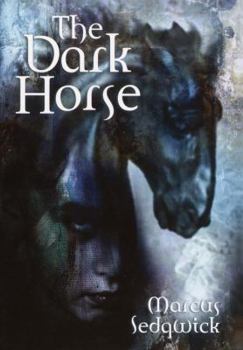 Hardcover The Dark Horse Book