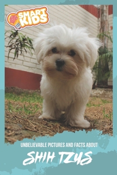 Unbelievable Pictures and Facts About Shi Tzus