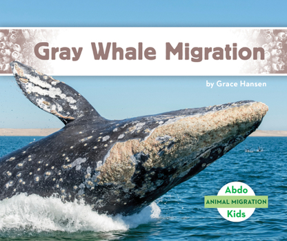 Library Binding Gray Whale Migration Book