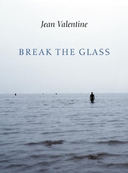 Hardcover Break the Glass Book