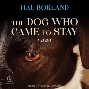 Audio CD The Dog Who Came to Stay: A Memoir Book