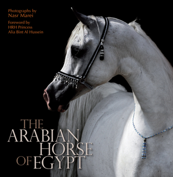 The Arabian Horse of Egypt