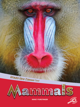 Paperback Animals Have Classes Too! Mammals Book