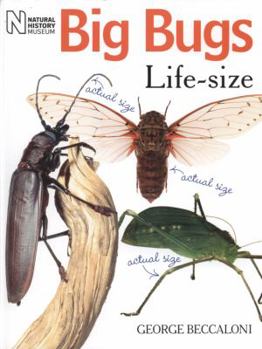 Paperback Big Bugs Life-Size Book