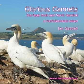 Paperback Glorious Gannets, the Bass Rock and North Berwick: A Photographer's Dream Book