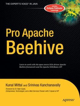 Hardcover Pro Apache Beehive Book
