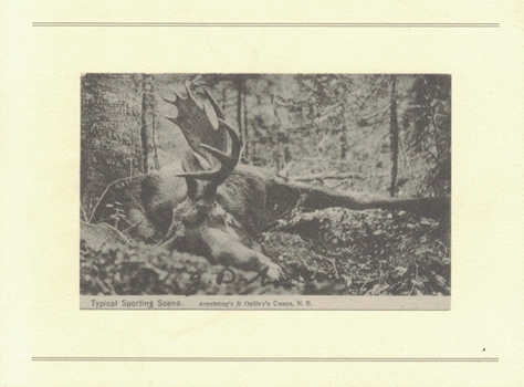 Paperback The Hunt Book