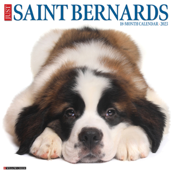 Calendar Just Saint Bernards 2023 Wall Calendar Book