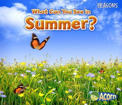 What Can You See in Summer? - Book  of the Seasons