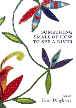 Paperback Something Small of How to See a River Book