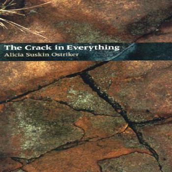 Paperback The Crack In Everything Book