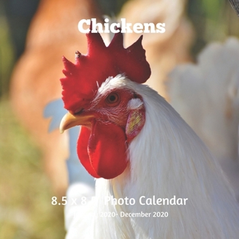 Chickens 8.5 X  8.5 Calendar January 2020 -December 2020: Monthly Calendar with U.S./UK/ Canadian/Christian/Jewish/Muslim Holidays-Bird Farm Animals Nature
