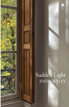 Paperback Sudden Light Book