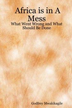 Paperback Africa Is in a Mess: What Went Wrong and What Should Be Done Book
