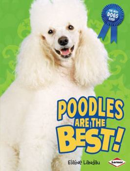 Poodles Are the Best! - Book  of the Best Dogs Ever
