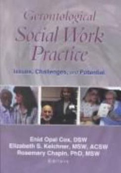 Paperback Gerontological Social Work Practice: Issues, Challenges, and Potential Book