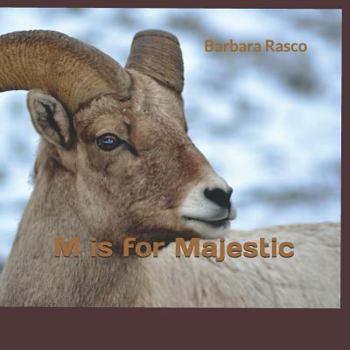 Paperback M is for Majestic Book