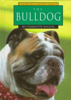 The Bulldog - Book  of the Learning About Dogs